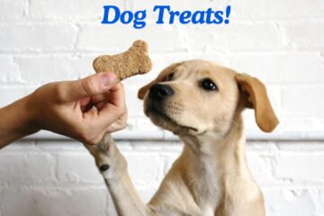 Dog Treats